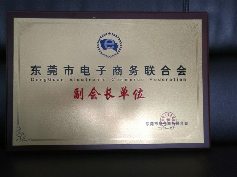 电子商务联合会副会长单位