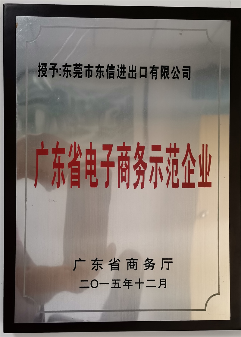 广东省电子商务示范企业